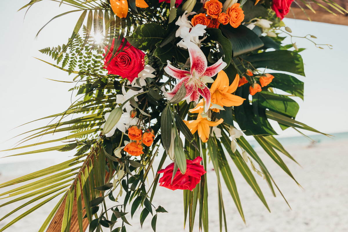 ariel-amir-photo-florida-beach-elopement-tropcial-chantilly-chic-celebrations-2
