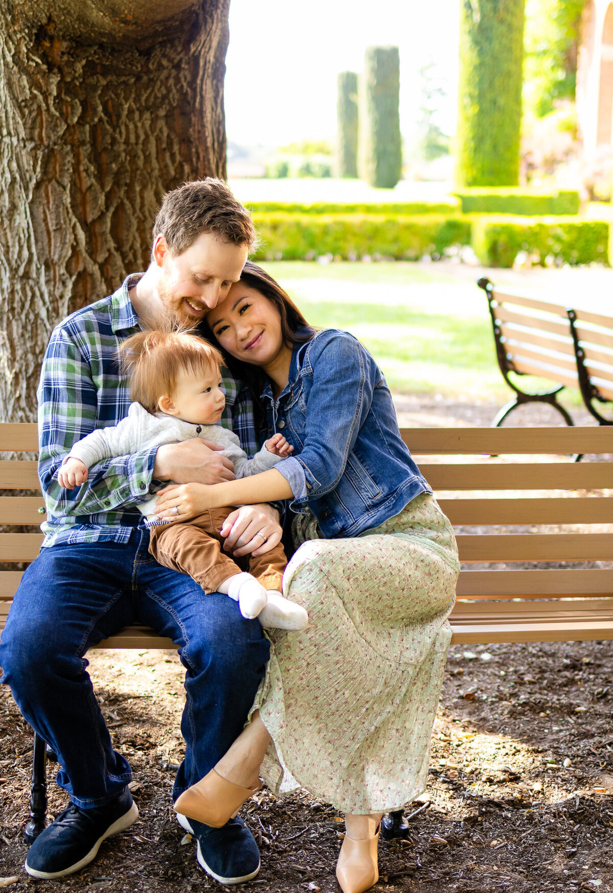  Bay Area Family Portfolio - Ellobelle Photography highlights a peaceful family cuddle on a park bench under the trees.