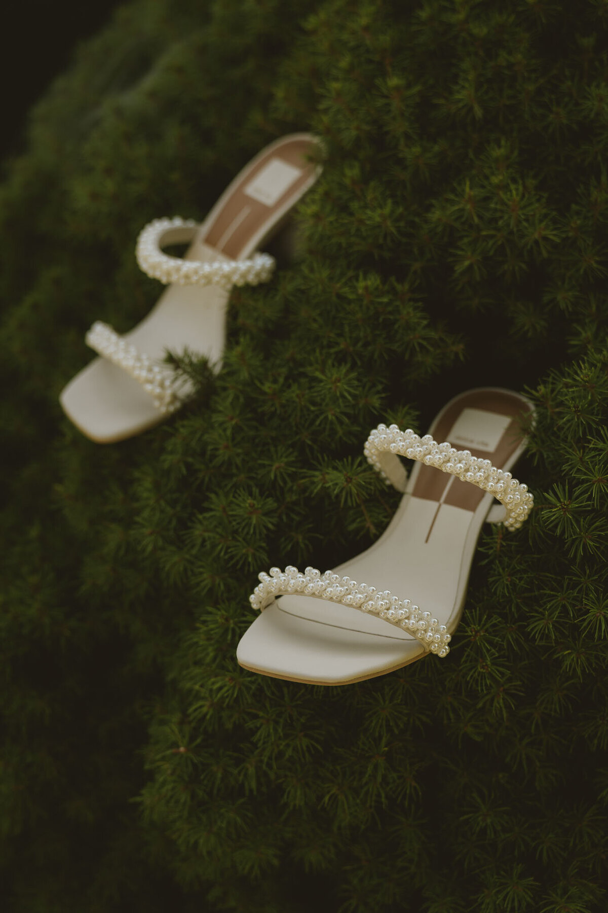 Grand Rapids Garden Wedding Photographer-1
