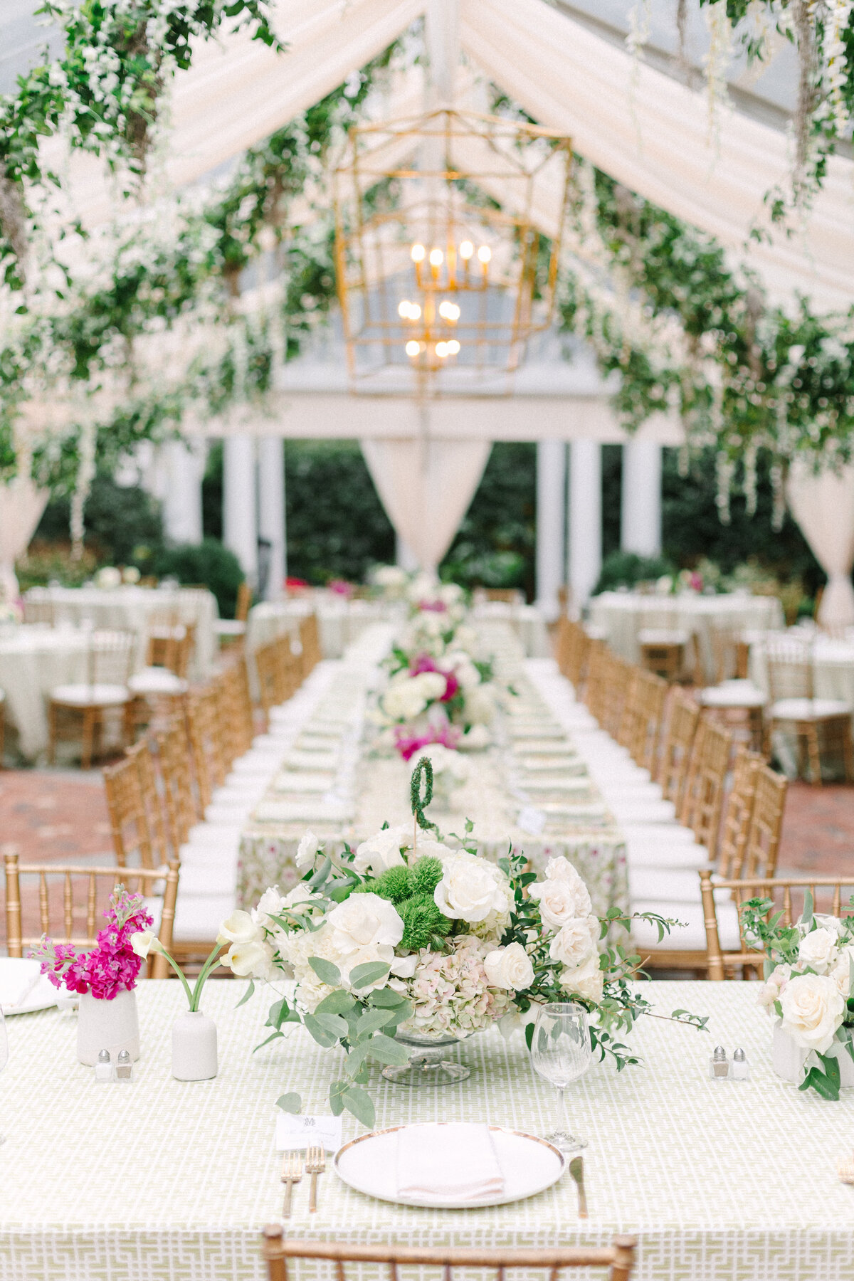 caseyhphotos-4372