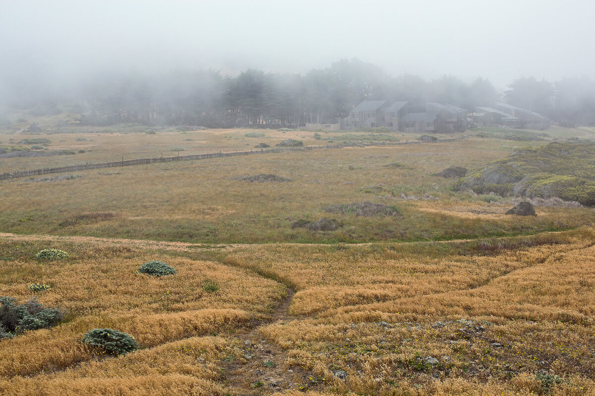 20150601_MENDOCINO_0042_01
