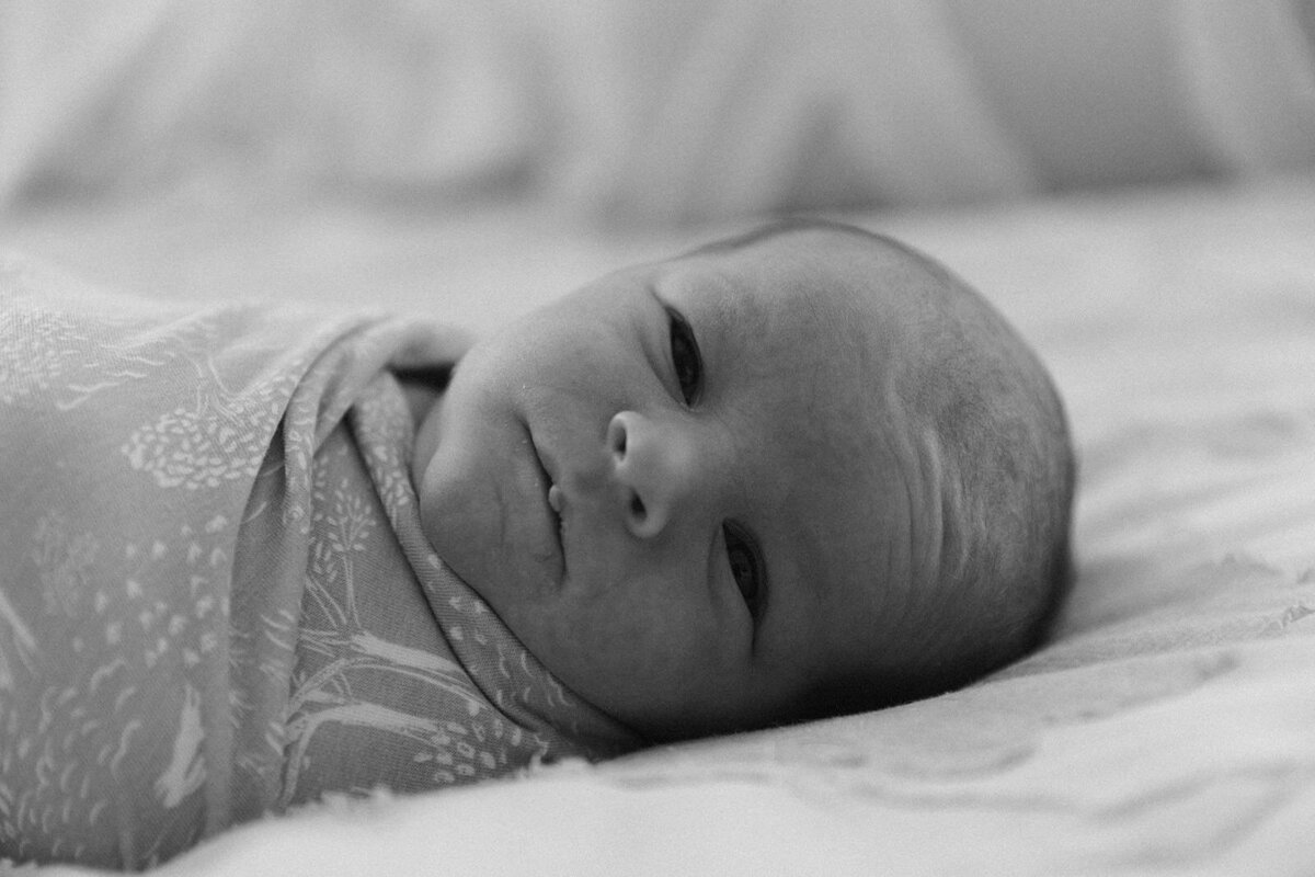 6.9.2025 - The Schultz Family_ Newborn-148