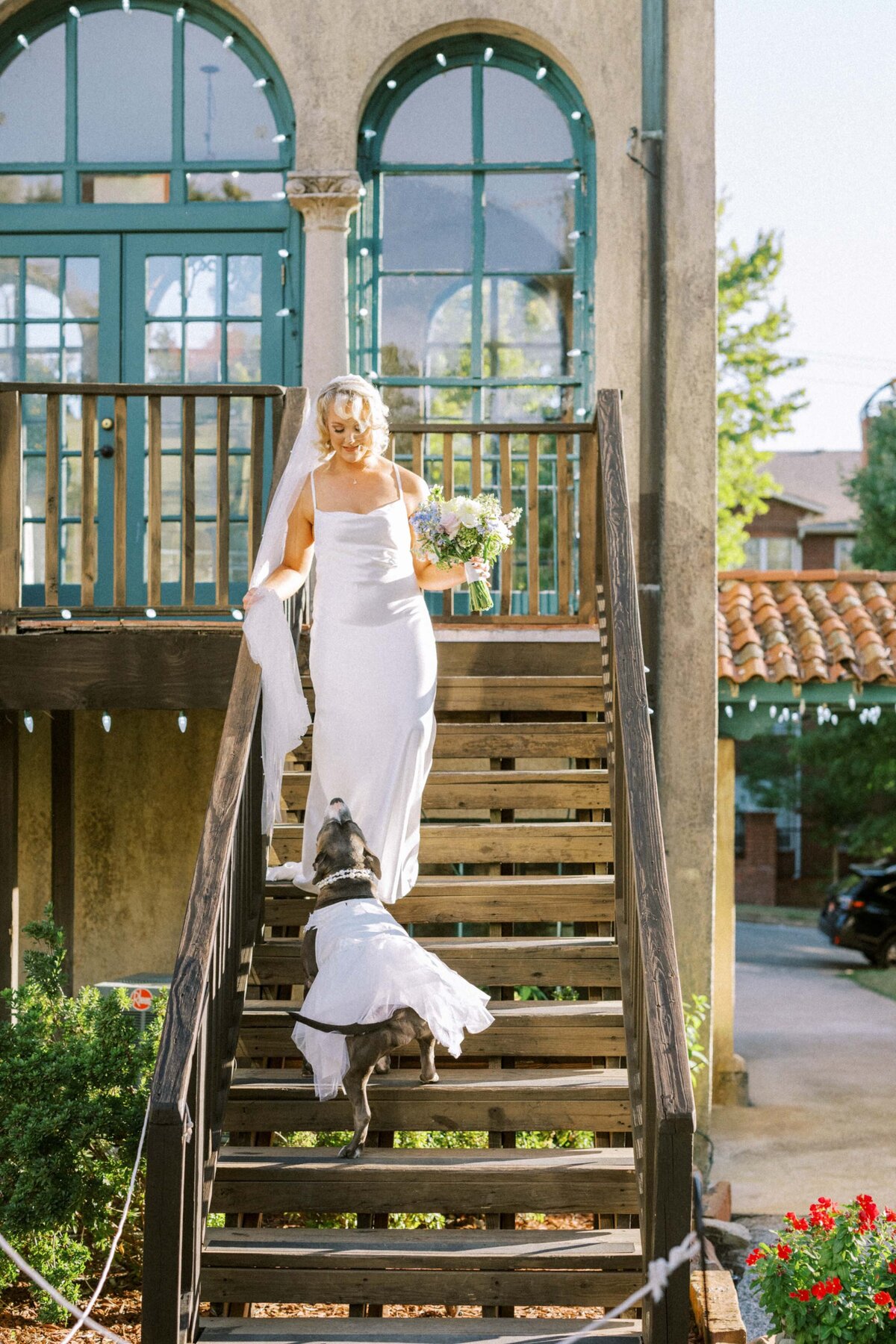 bride-greeted-by-pitbull-dog-aisle-walk