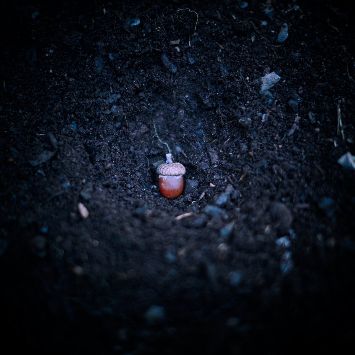 20151006___MG_6969