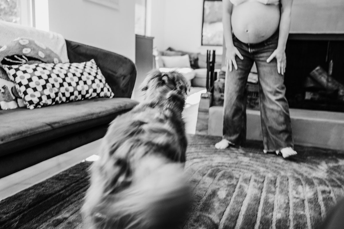 in-home-lifestyle-maternity-portland-oregon-natalie-broders-02