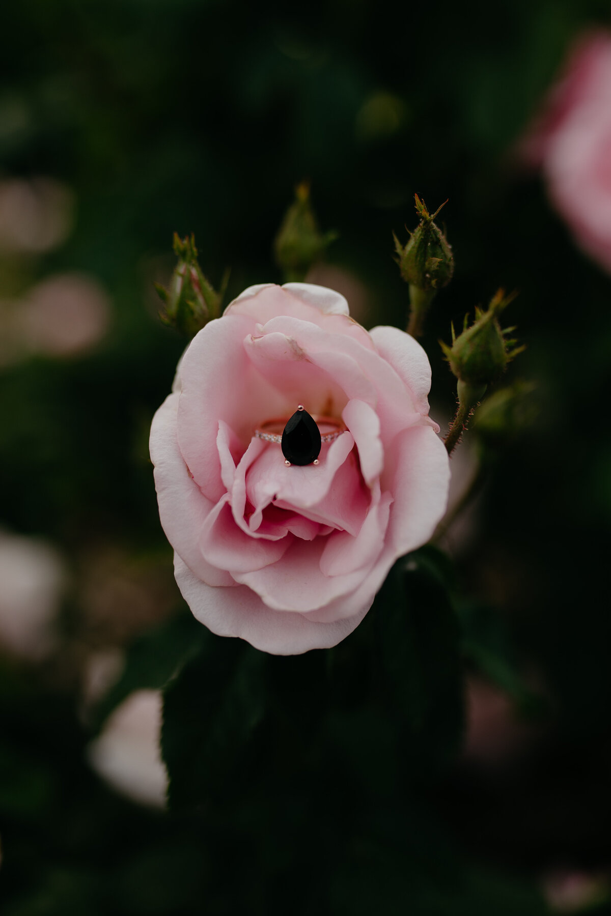 Skylar&Gabe-Engagement-Lakeside-050522-SparrowSongCollective-97