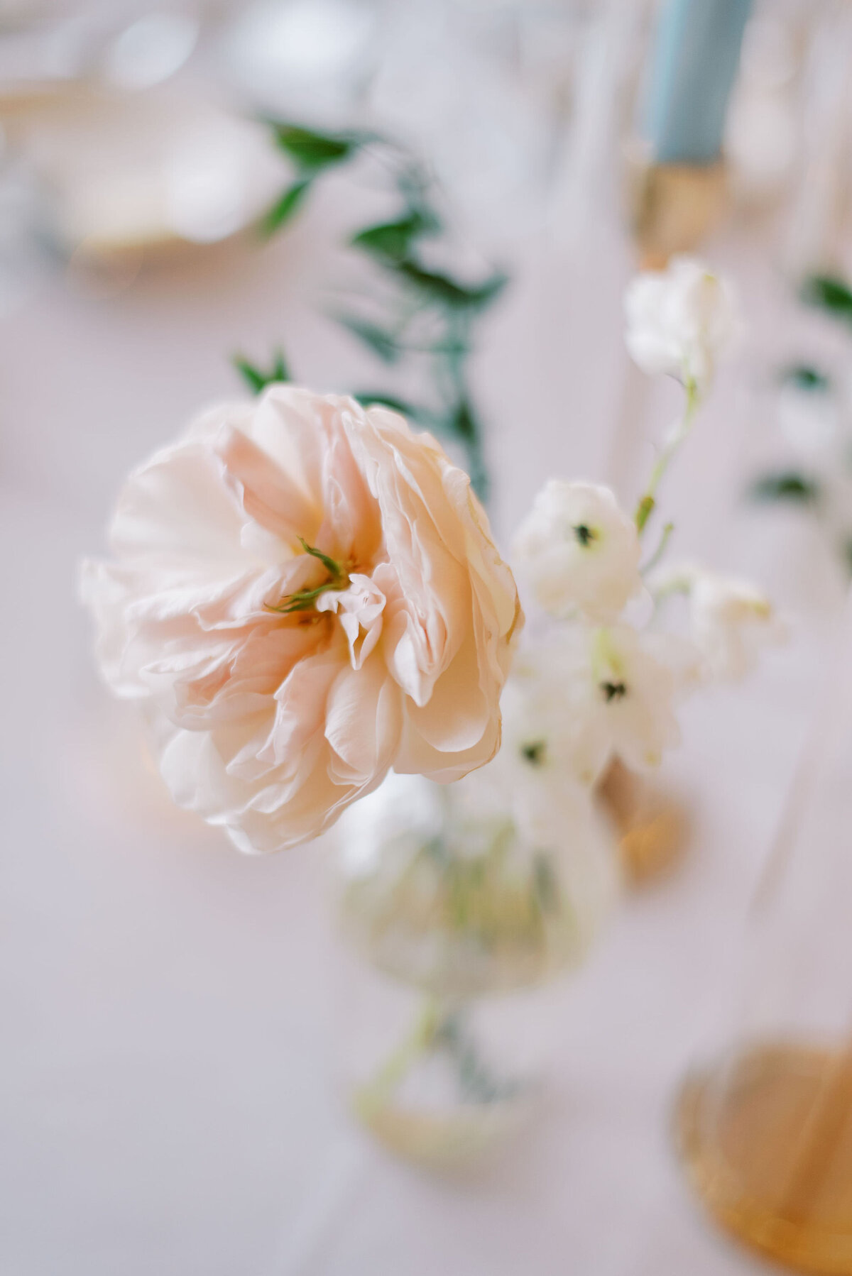 BridgetRyanWedding-1176