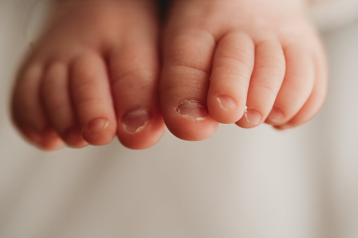 bismarck-studio-newborn-taylor-10