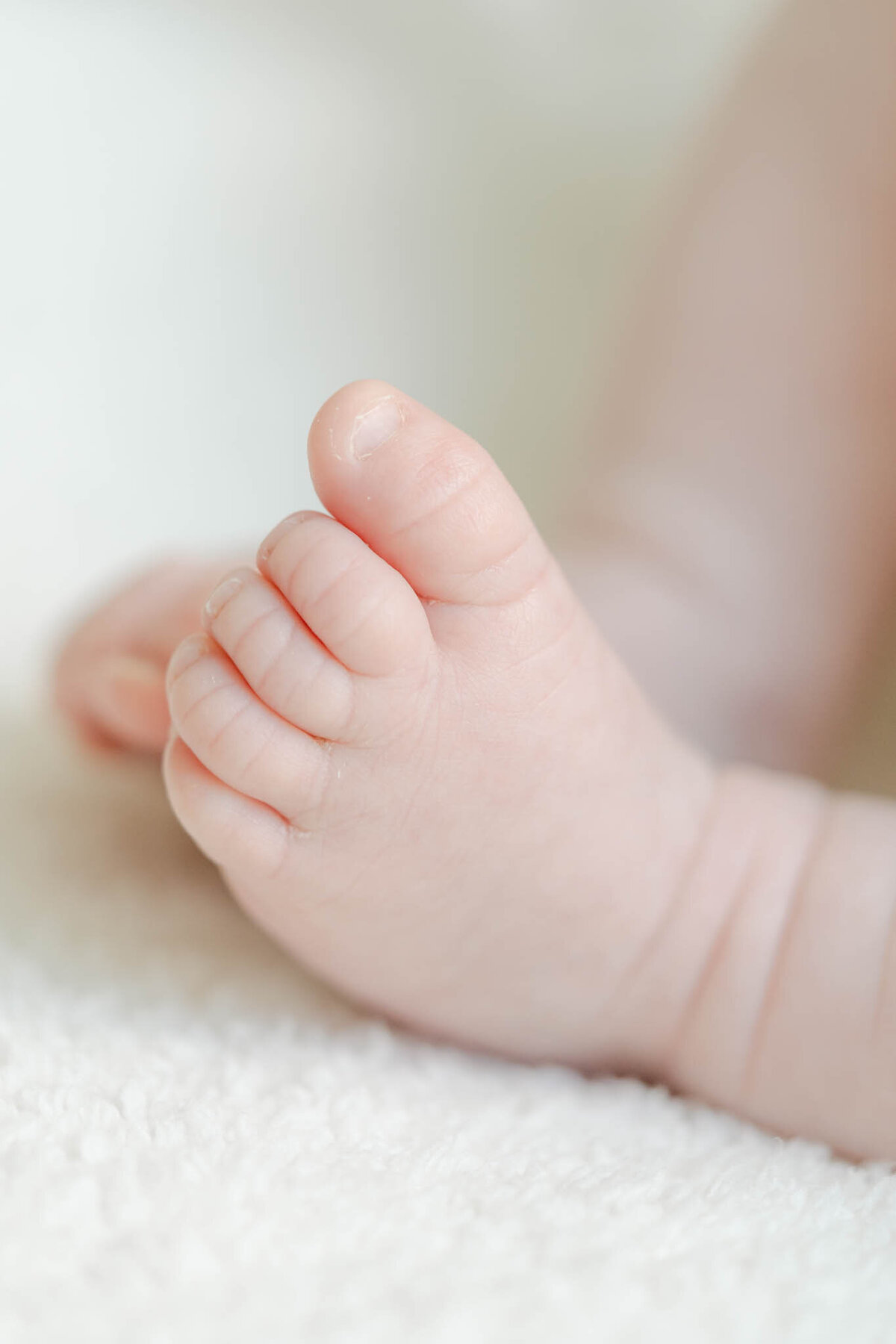 Delaware-Newborn-Photographer-1212