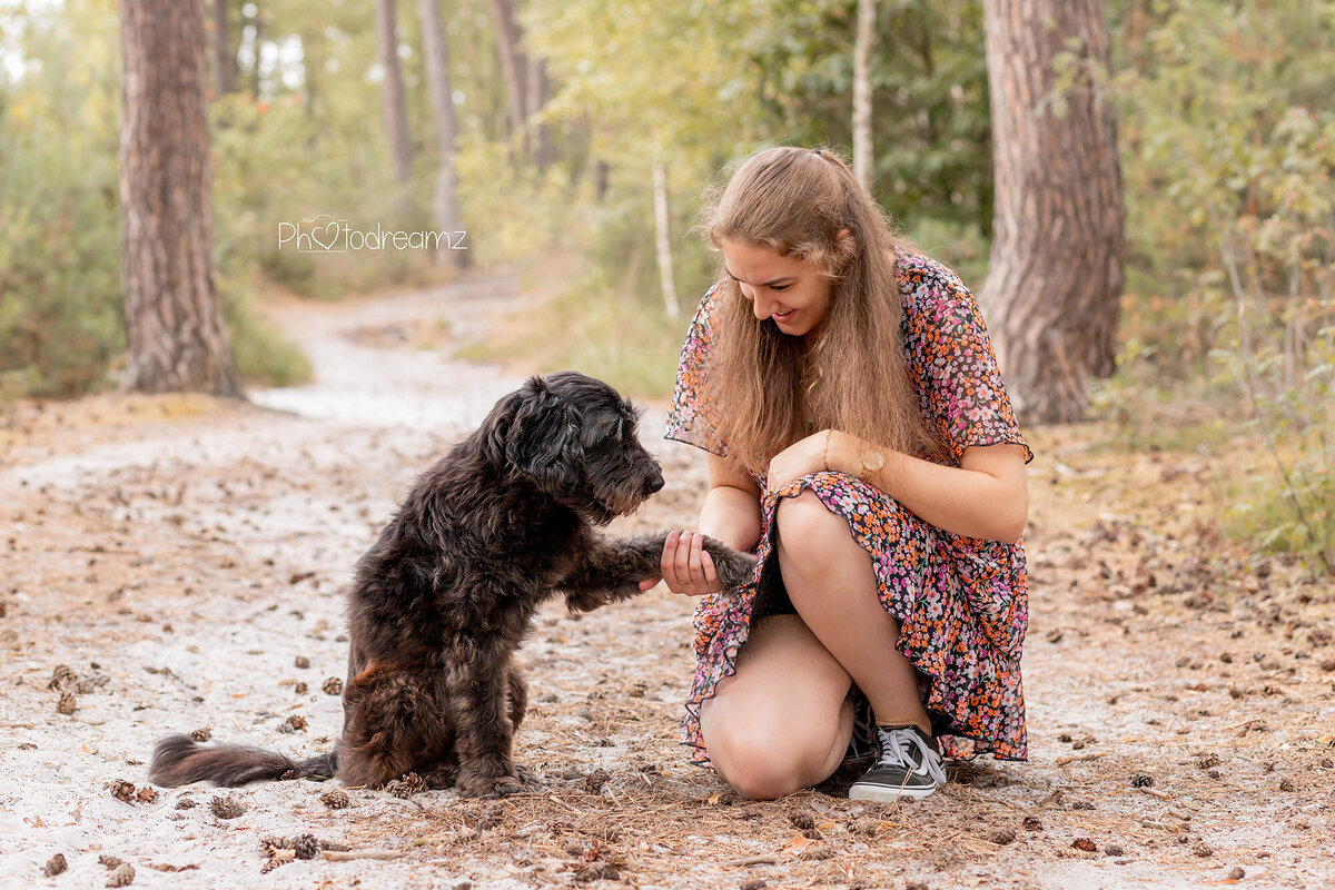 Photodreamz-honden-fotoshoot-limburg-4