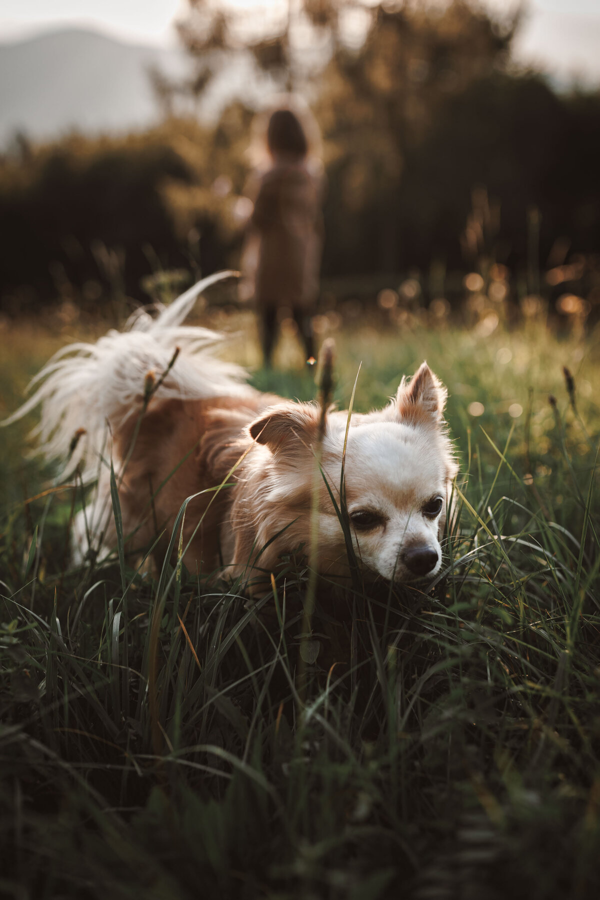 jana_kawulokova_rodinna_fotografka_L01A1424
