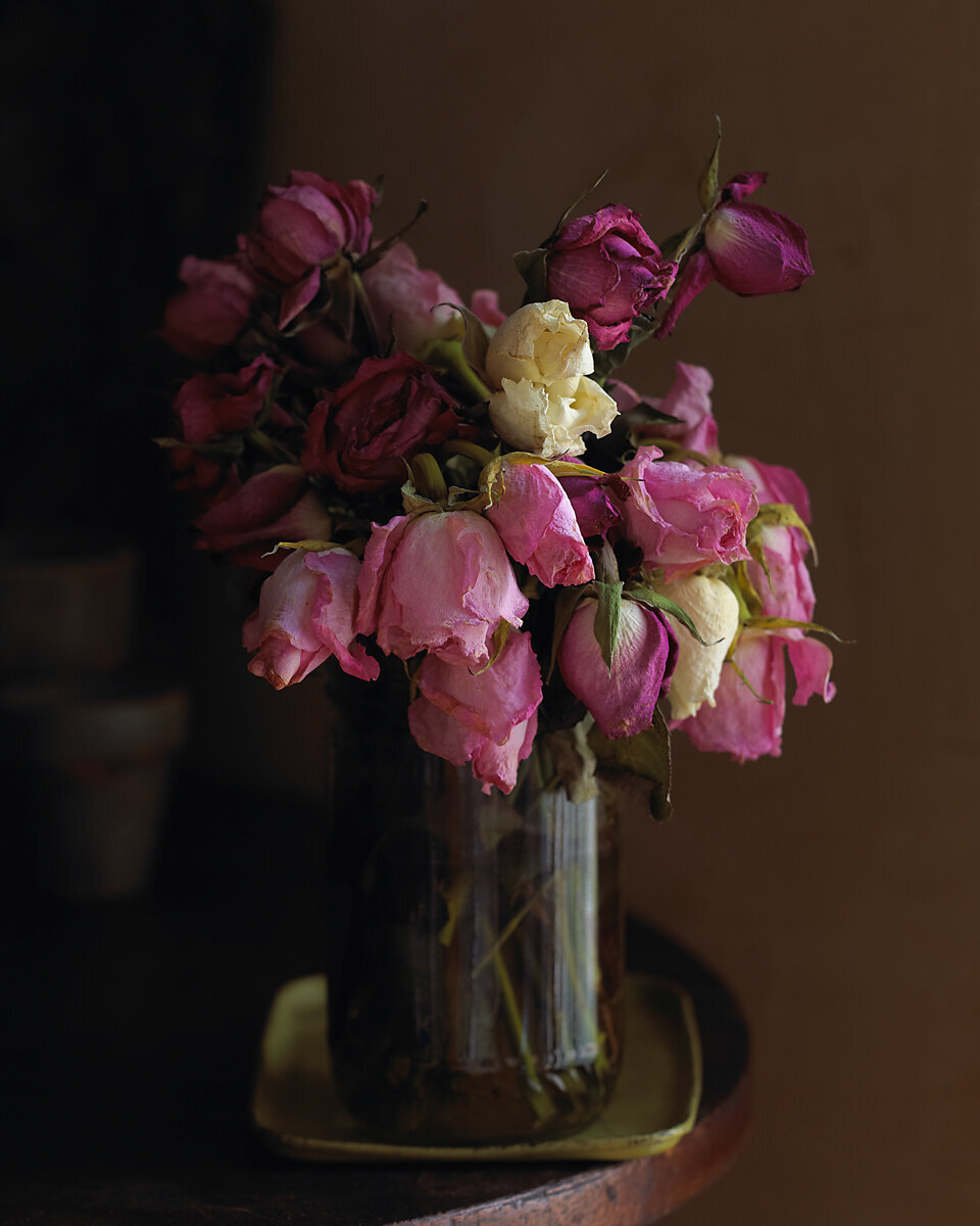 PORTFOLIO_031111_005