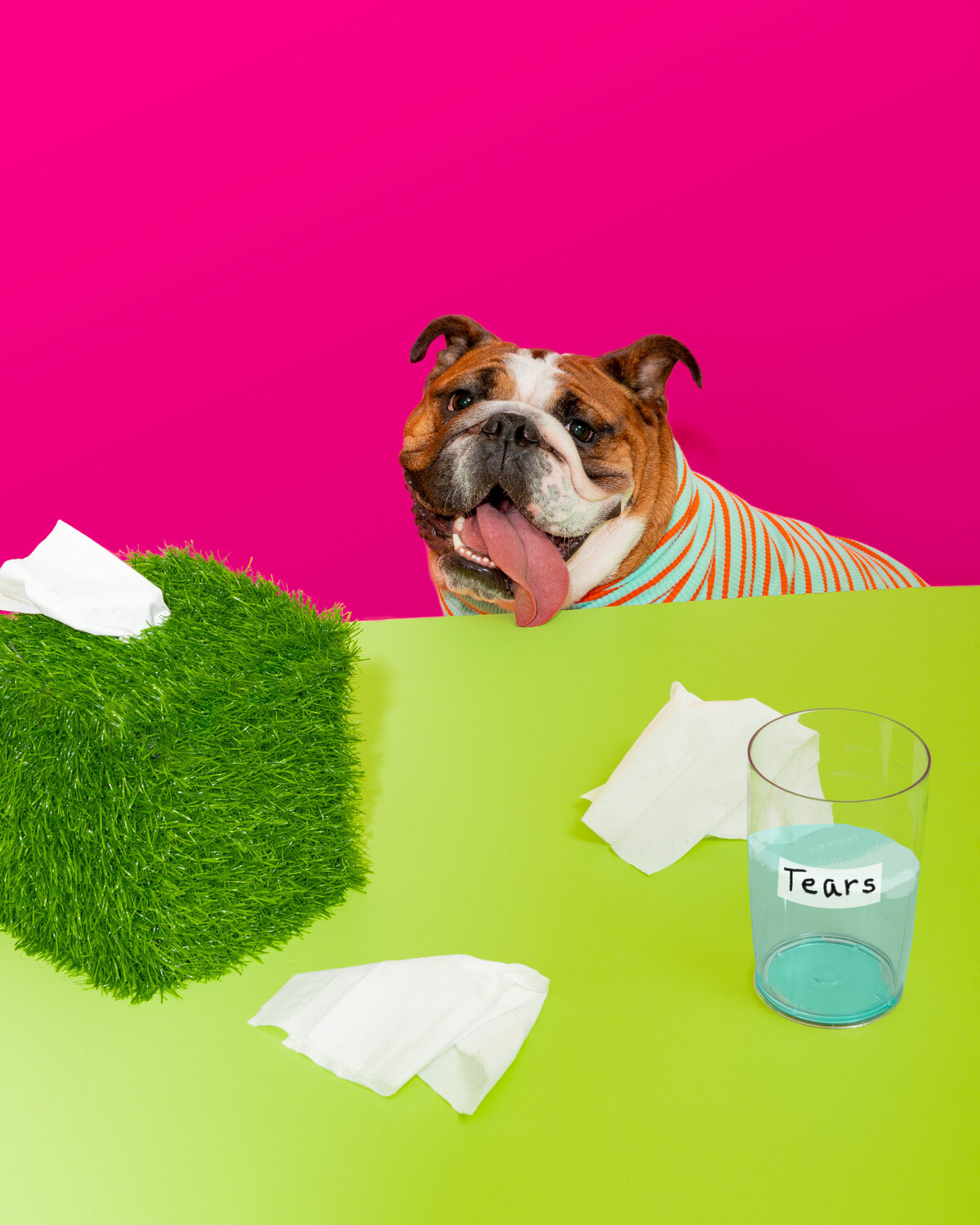 Furboos cleanser_-5