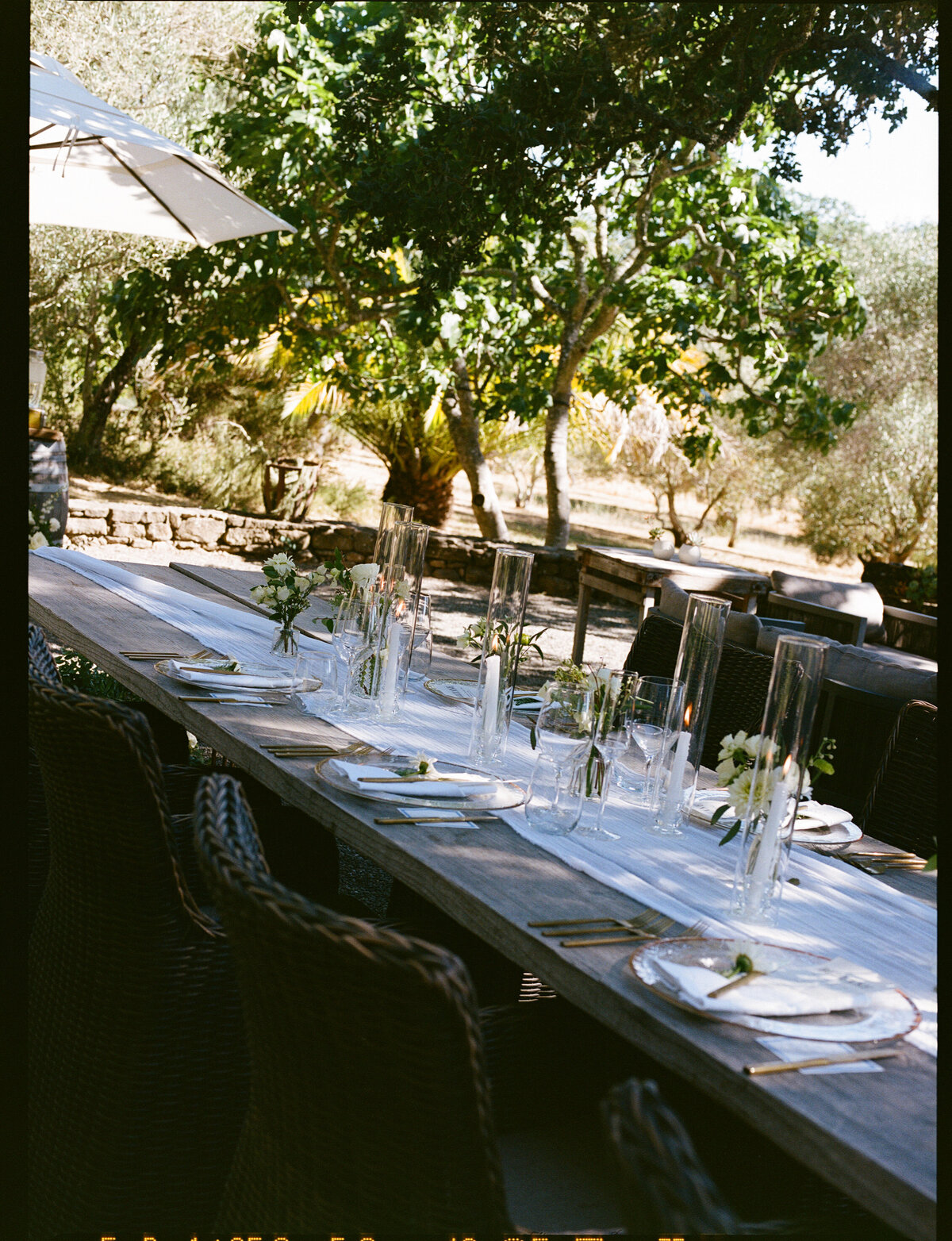 NatalieMax-Wedding-crystalkphotos-501