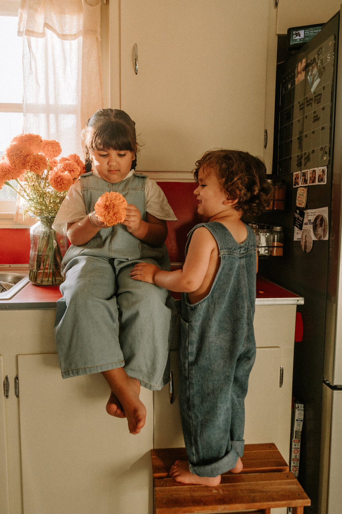 jessiecadriverbw.com1-3693