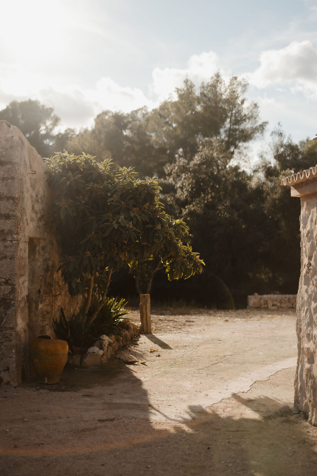 THE AWAKENING ° MIMI FIEDLER  ° THIRTYNINE