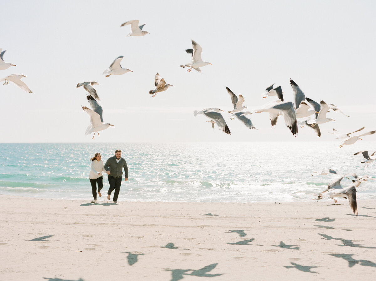 Southern-California-engagement-photography-birds-Stephanie-Brauer