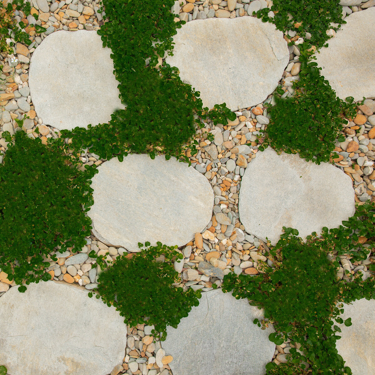 Paving steppers surrounded by greenery and rock work by total landscape & design Warrnambool