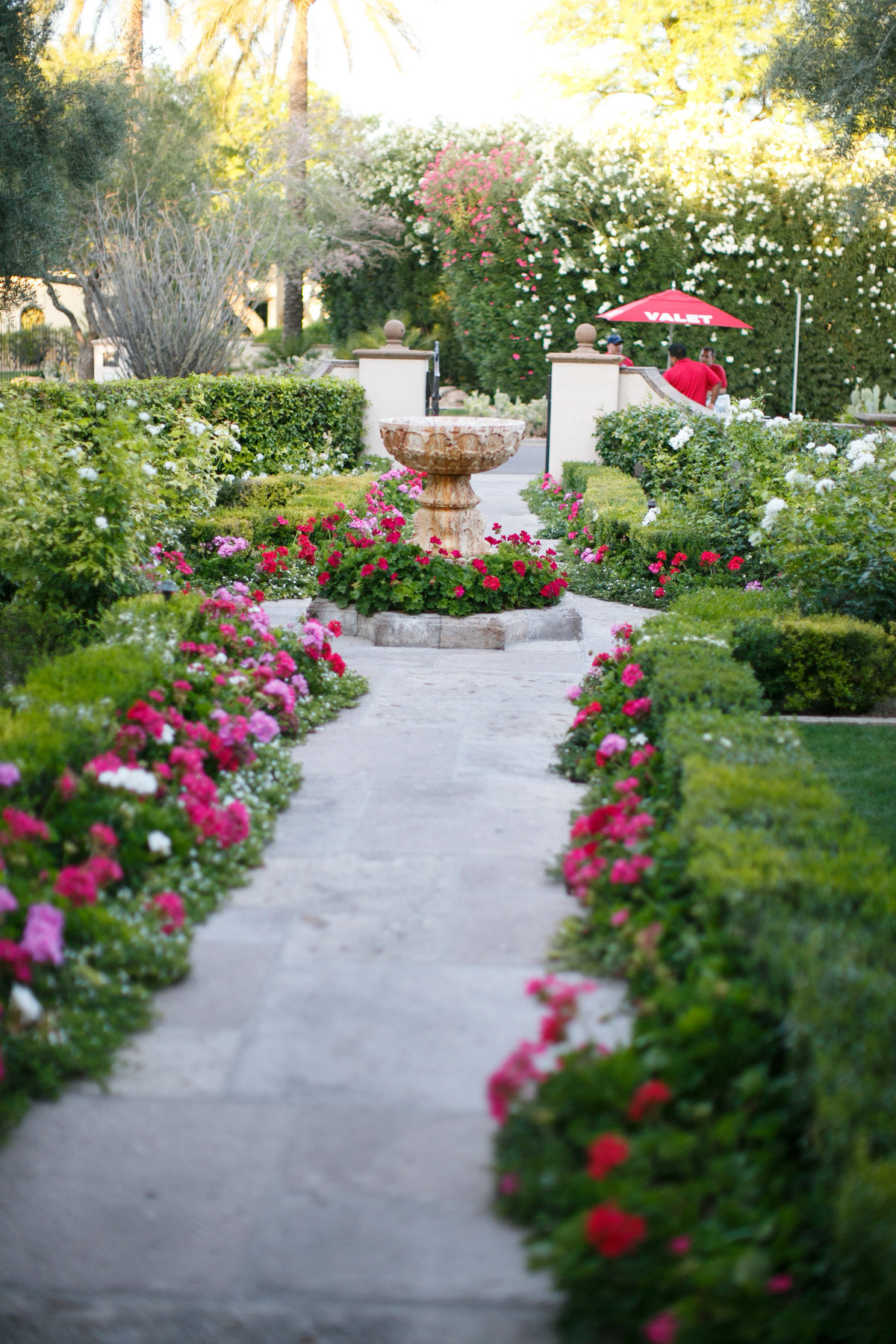 Paradise valley wedding Private estate Arizona wedding Ashley gain wedding planner Scottsdale wedding planner Phoenix wedding planner Revelry event design Casa de perrin Momental design Painted invitations Flower studio Arizona American valet Jennifer bowen photography Jeff tracy katz