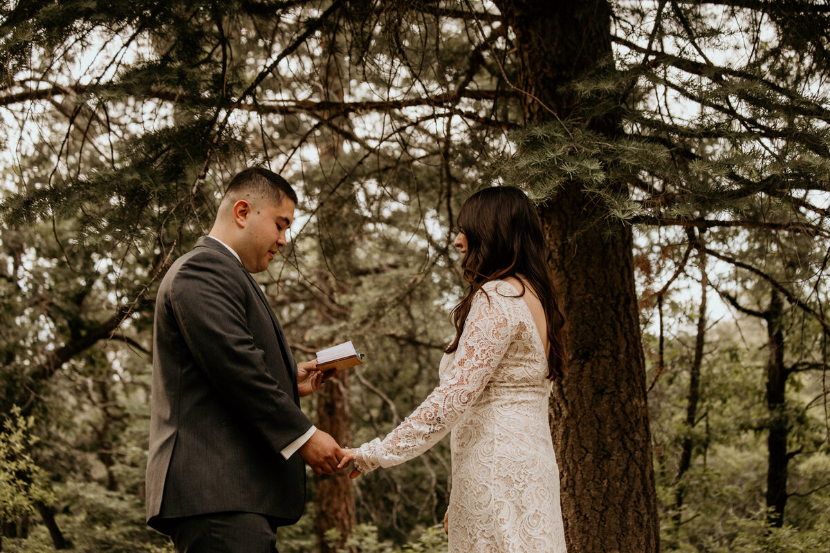 bride and groom holding hands during private vow exchange