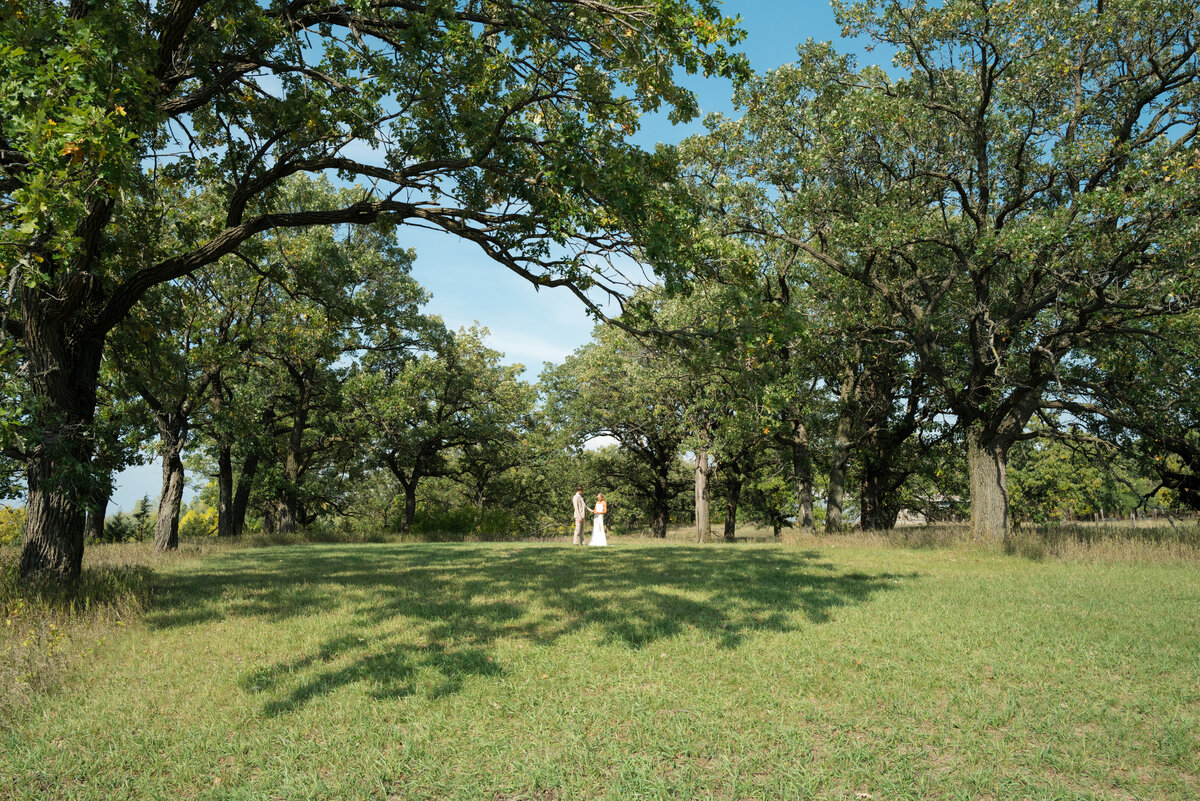 Backyard-Wedding-Rogers-MN-B&S-Will-DeGraw-Clever-Disarray-33