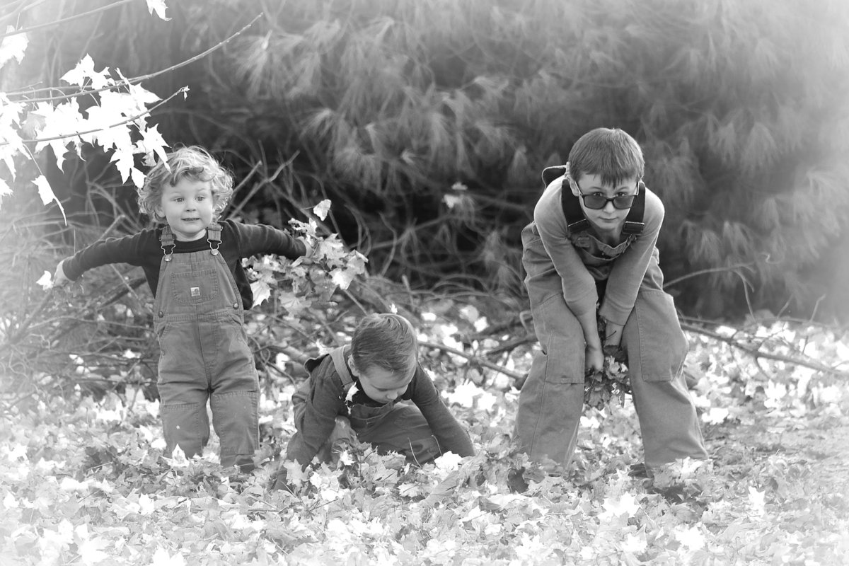 leaf throwing boys