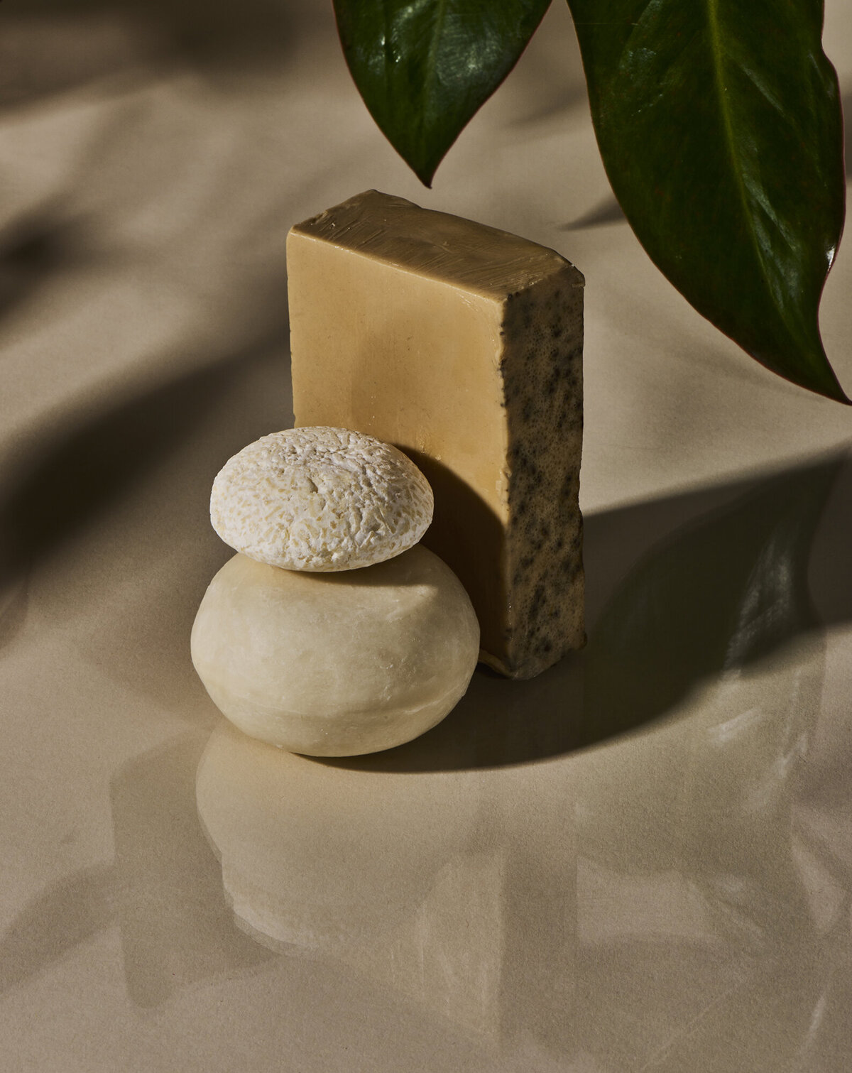 product photography with shampoo bars