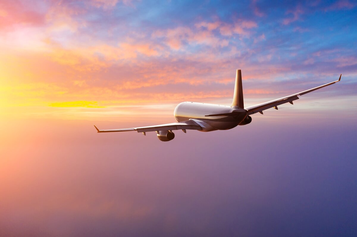 CryoLogistics airplane flying against a sunset backdrop, symbolizing global cryogenic transport and safe journeys