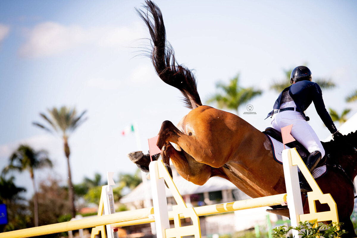 US EQUESTRIAN TEAM_BEST EQUESTRIAN RIDERS IN THE US_FLORIDA SHOWJUMPING(3)