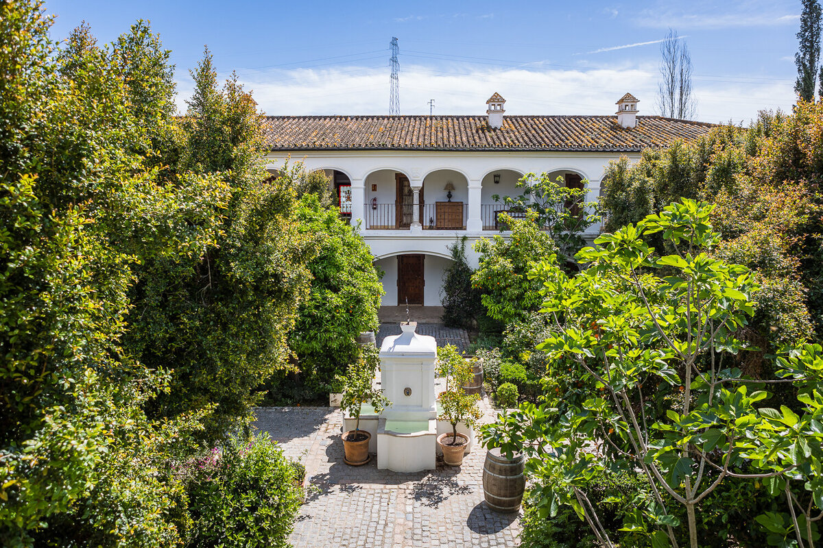 Marbella wedding photographer 676