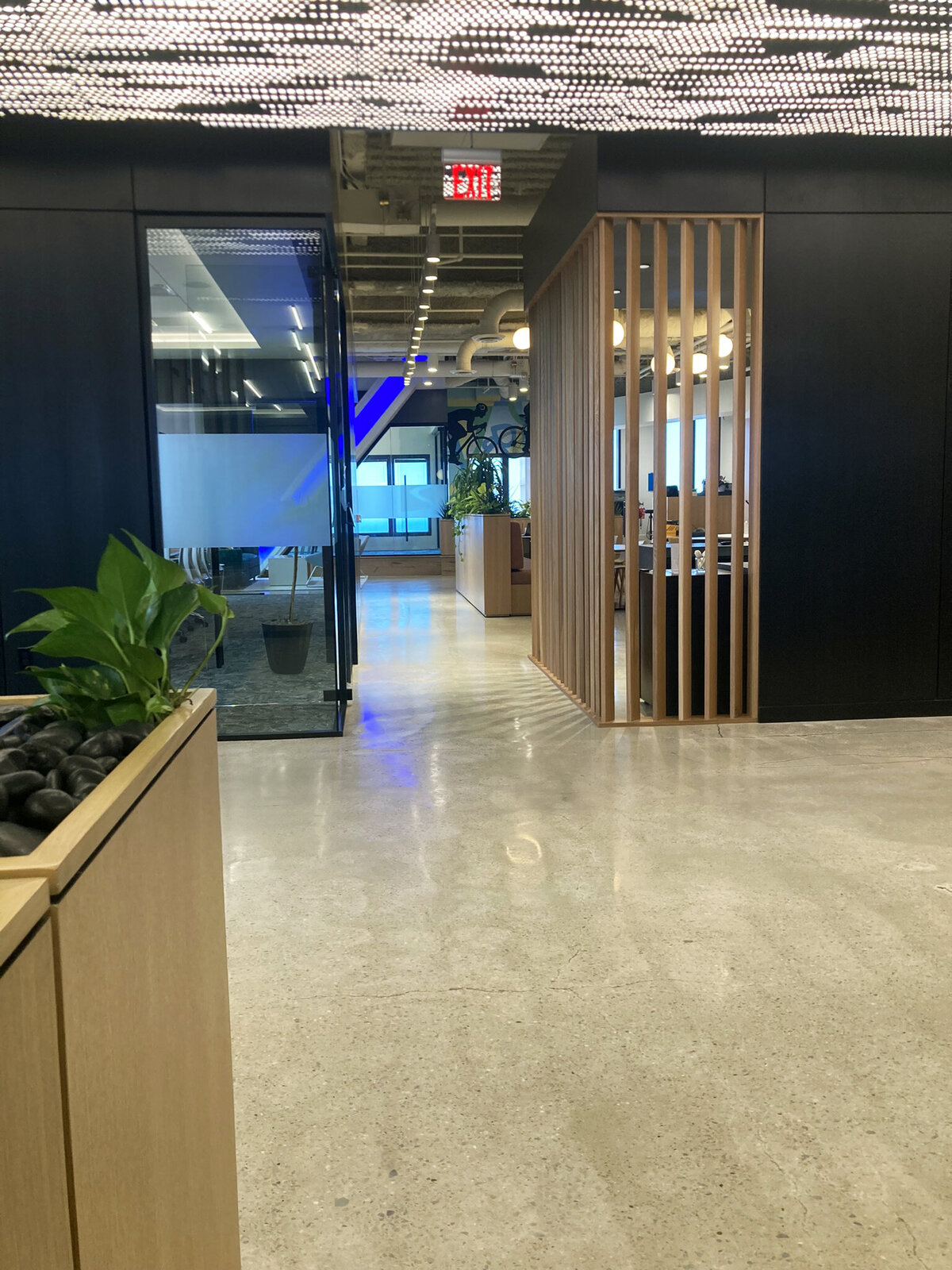 Cleveland Hearing and Speech Office | SLATE Interiors Studio