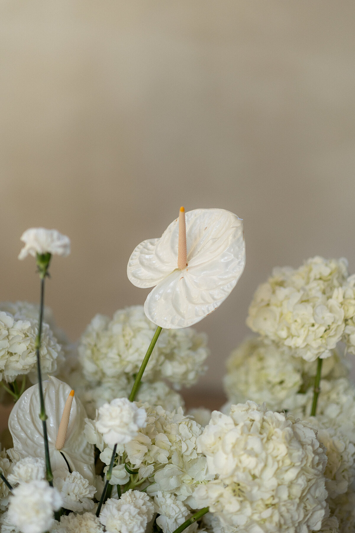TANGERINE11-MONOCHROME-TABLE-74