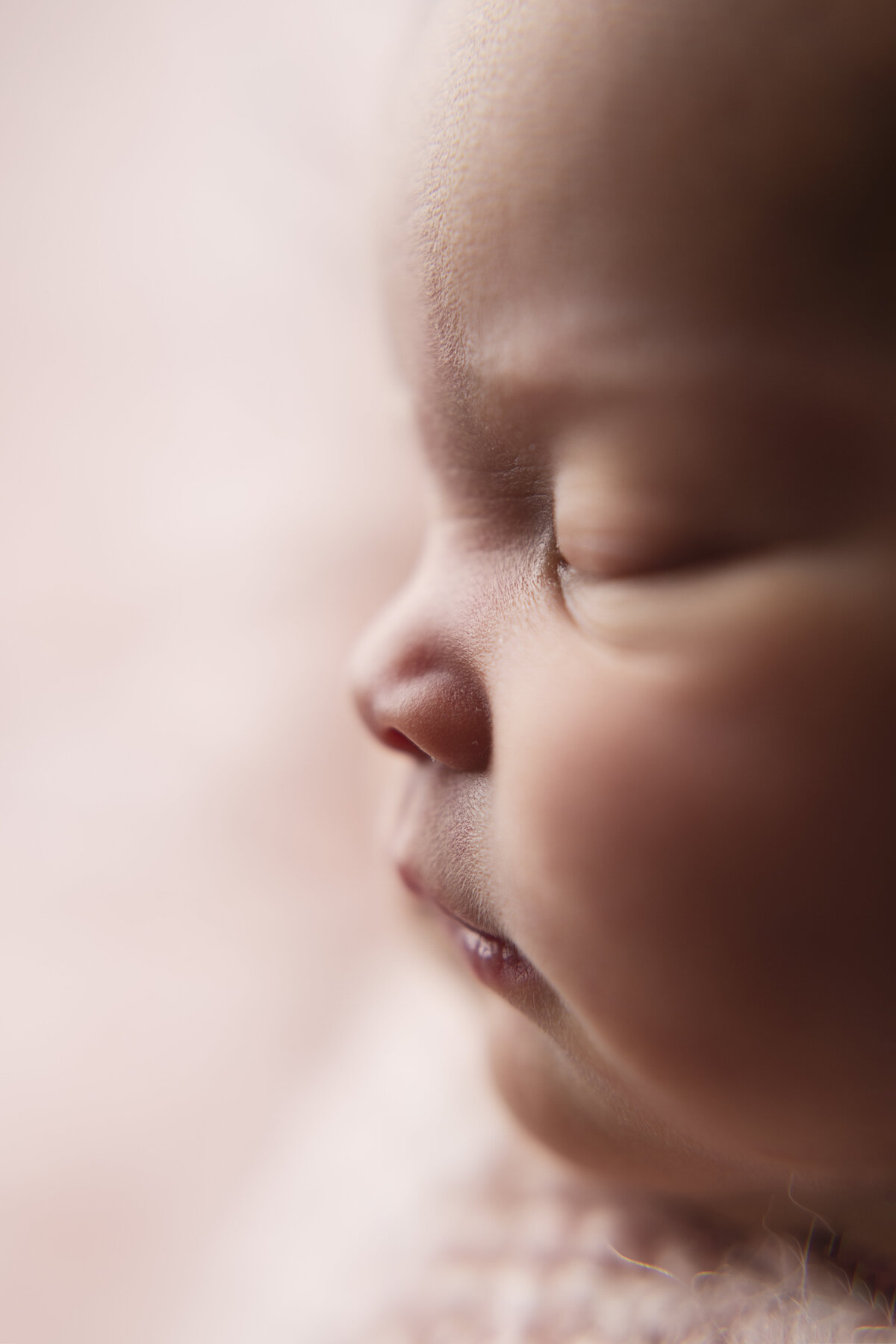 Newborn evelyn-221 copy