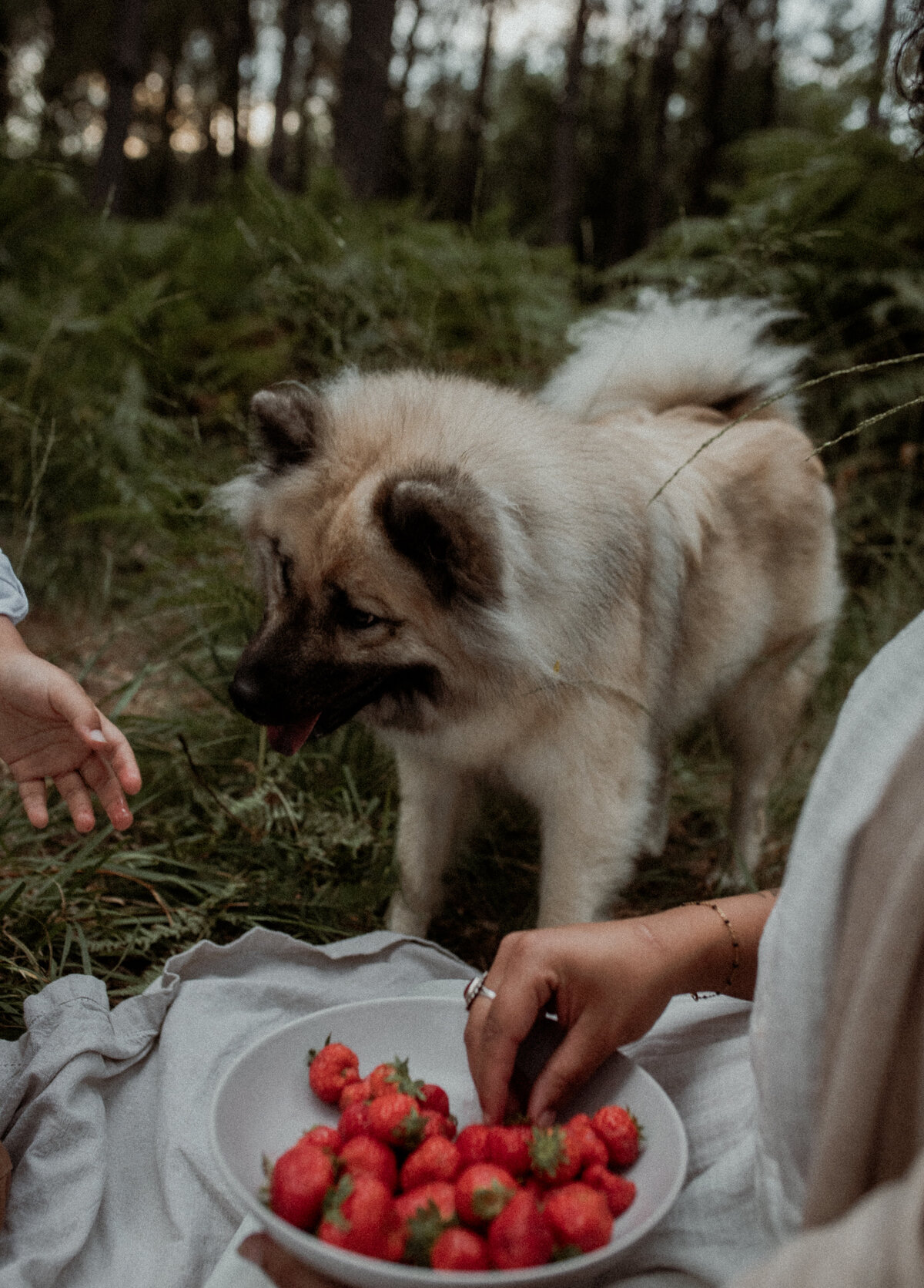 Séance photo famille à Nantes - Anaïs & Timothé (36)