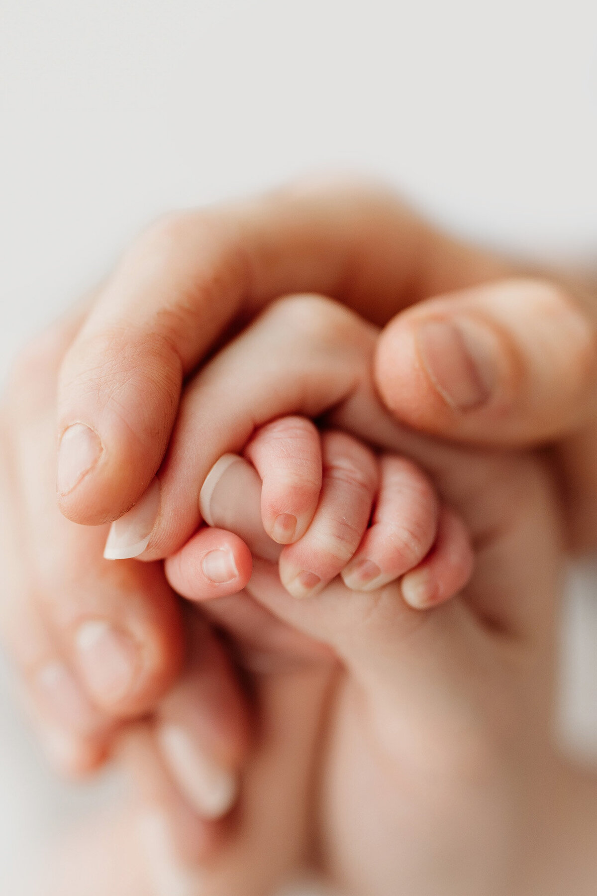 memphis newborn photography by jen howell 3