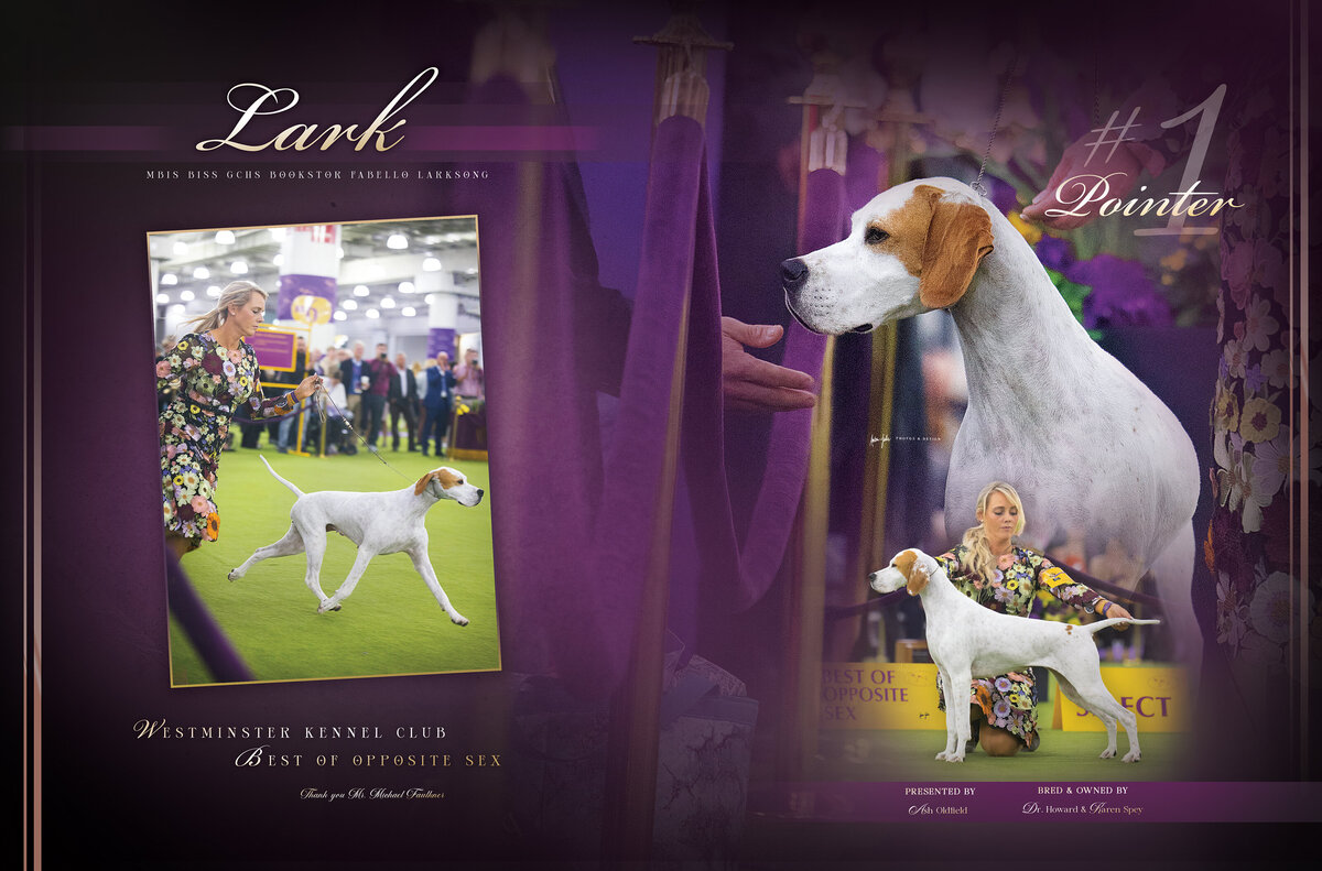 Lark - Canine Chronicle 5 rgb