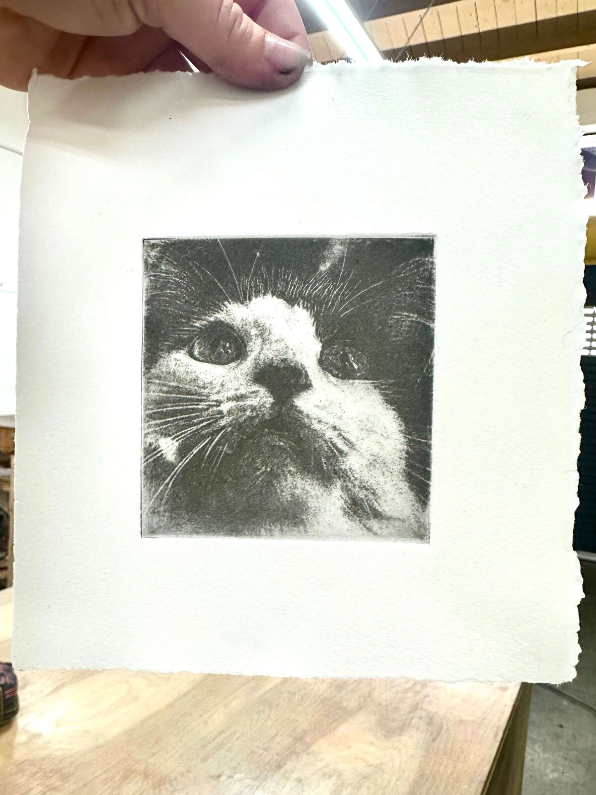 A hand holding a black and white cat etching print made from toner transfer on copper.
