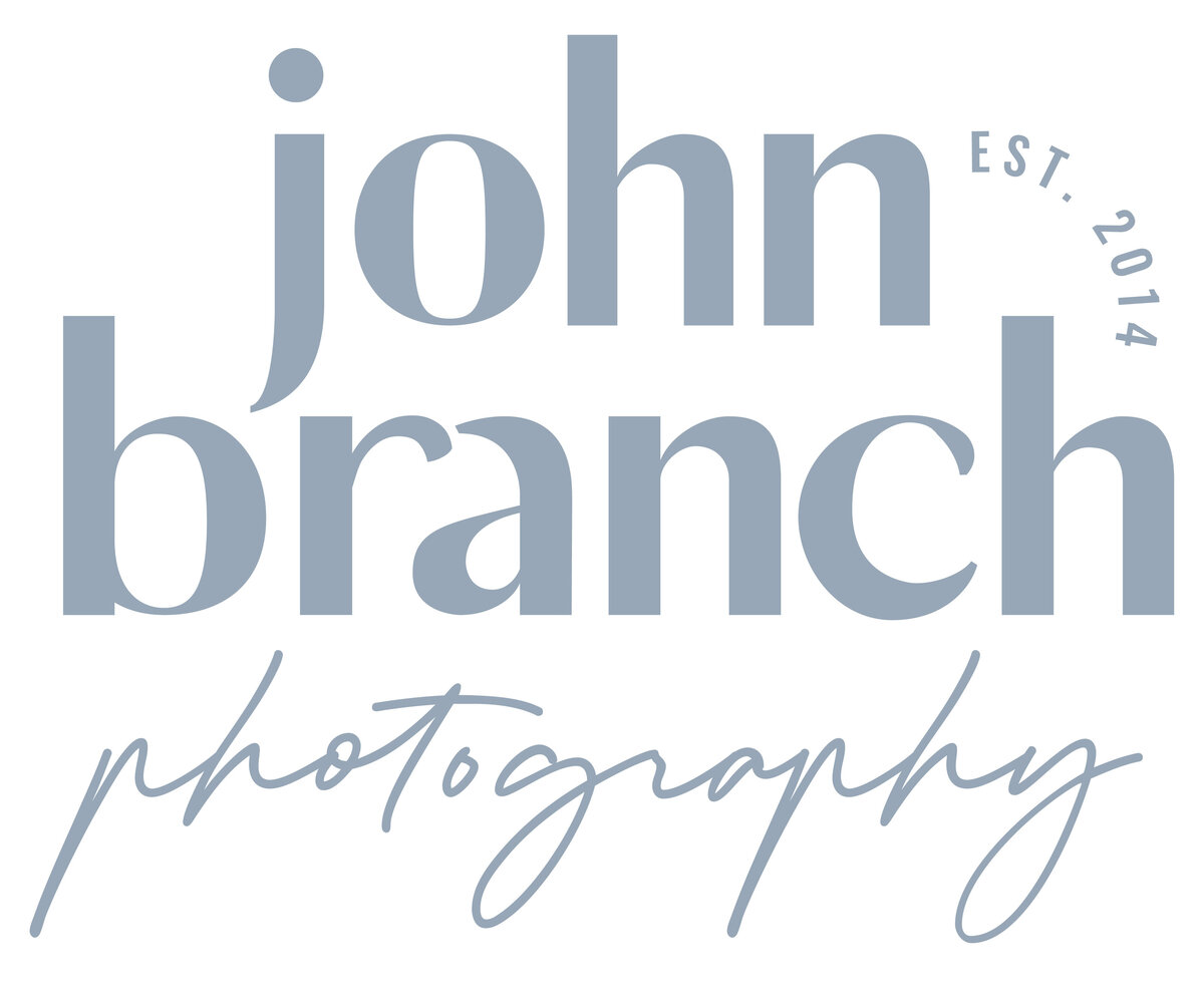 John Branch IV_secondary logo_breeze