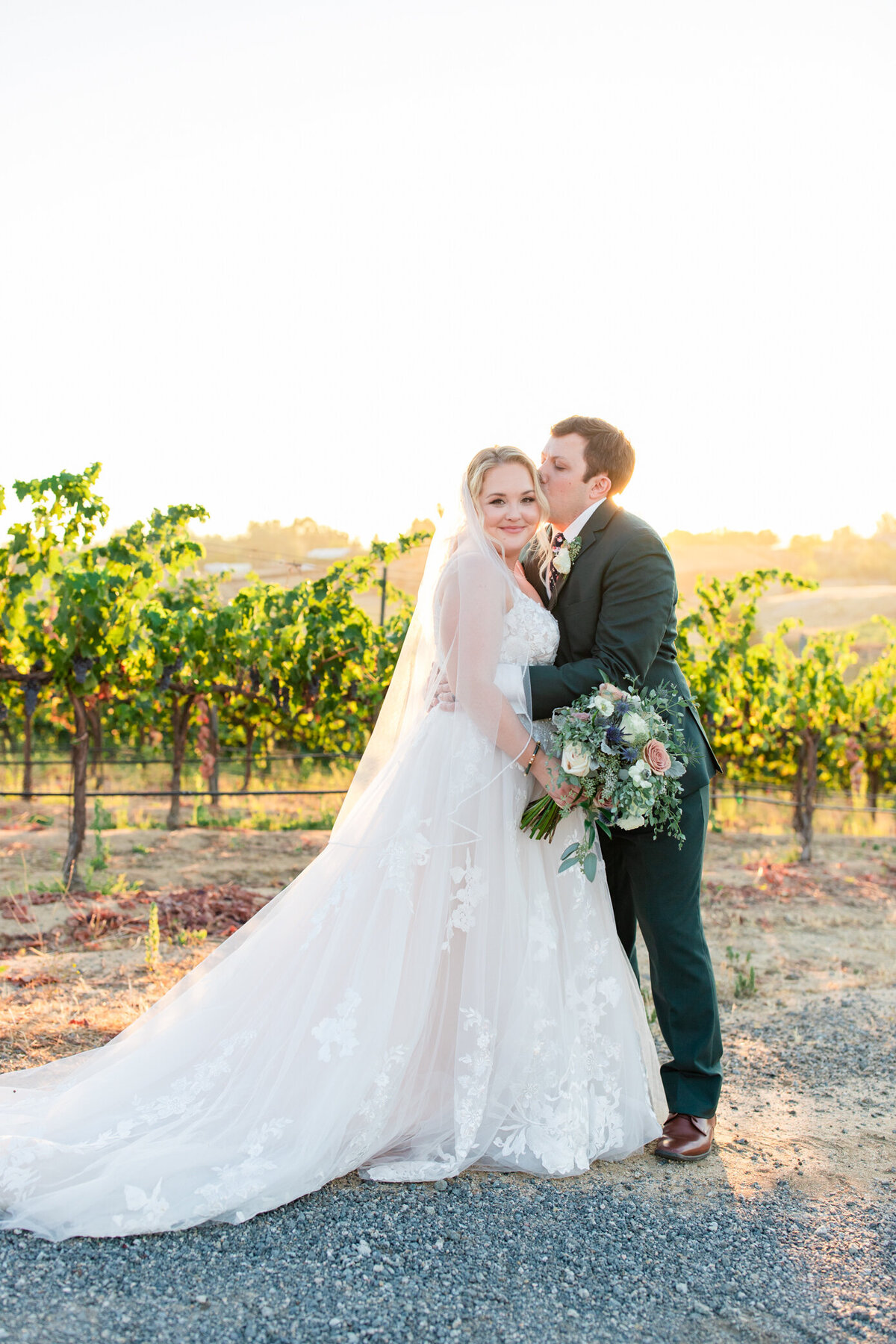 groom kisses bride in a vineyard