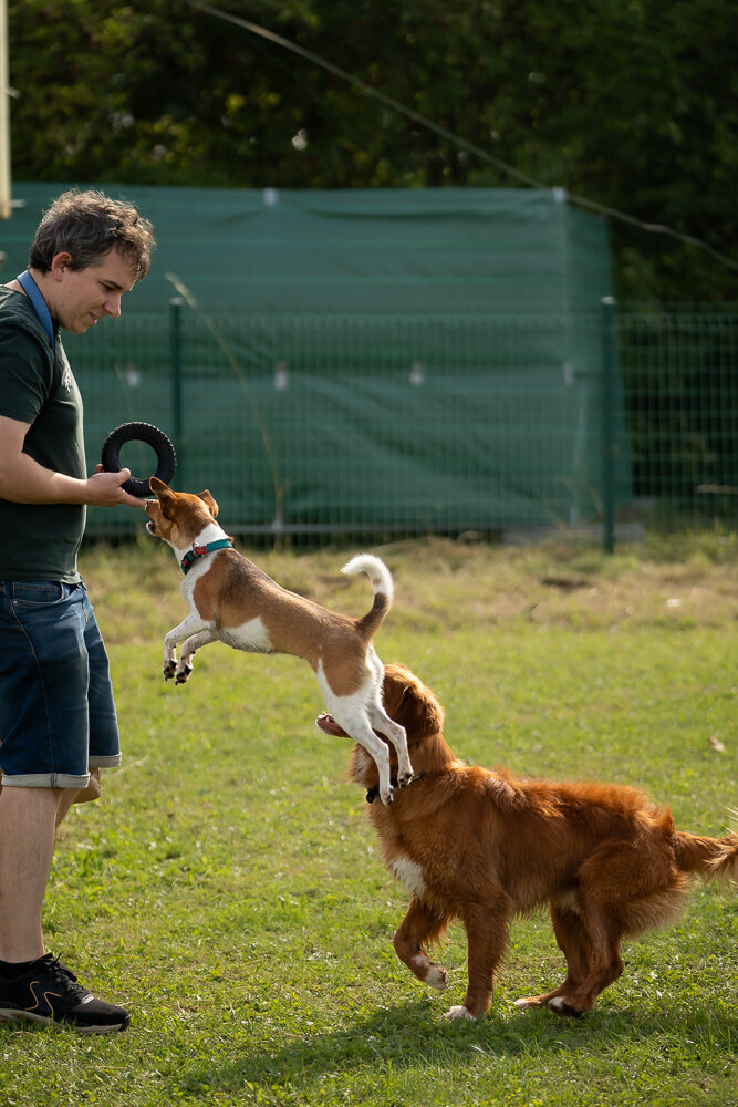 ElkeFierensFotografie-03782