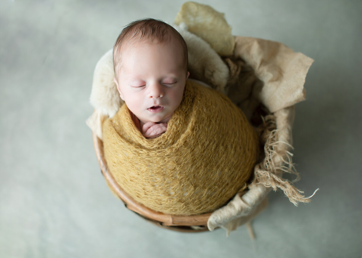 sleeping baby poses in bowl for posed newborn pictures in Arvada colorado Photo studio Erin Jachimiak Photography