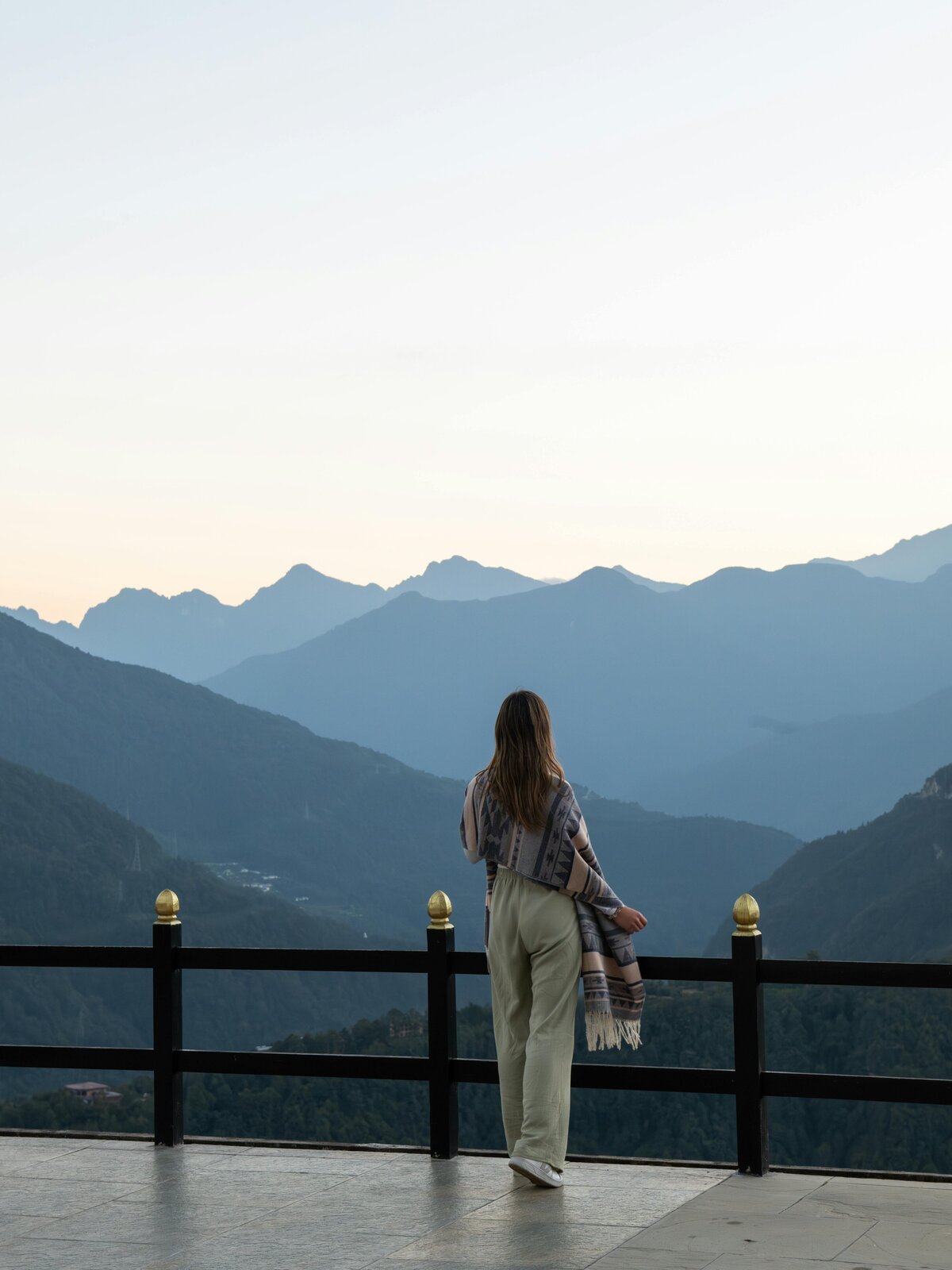 pexels-sonam-wangchuk-dev-492313712-30980506