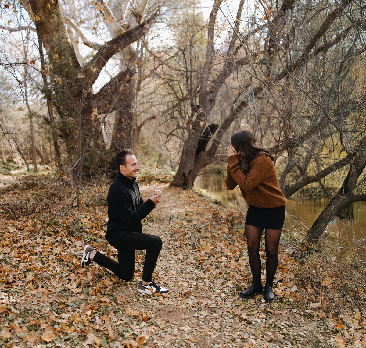 seitzproposal-11