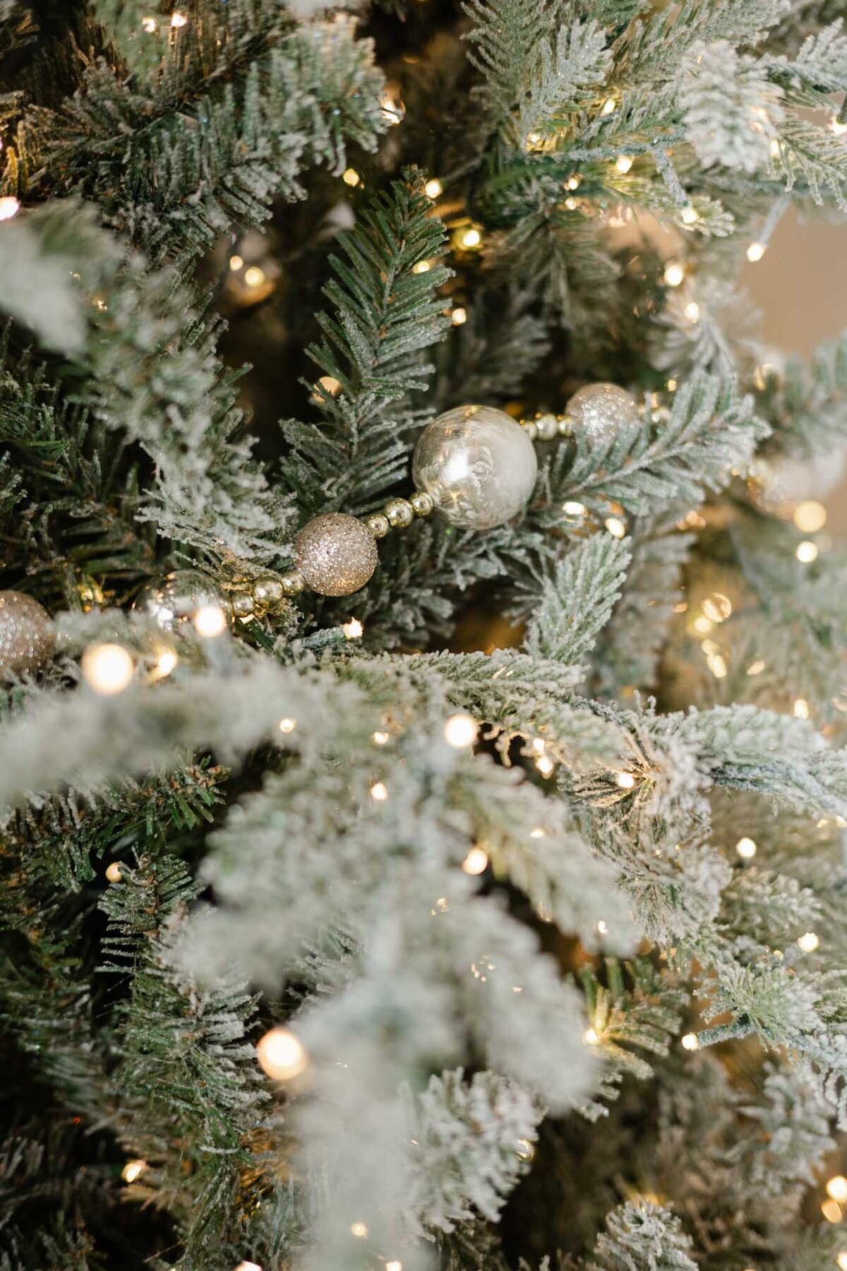 2025 Maine Studio Christmas Minis Gallery-12