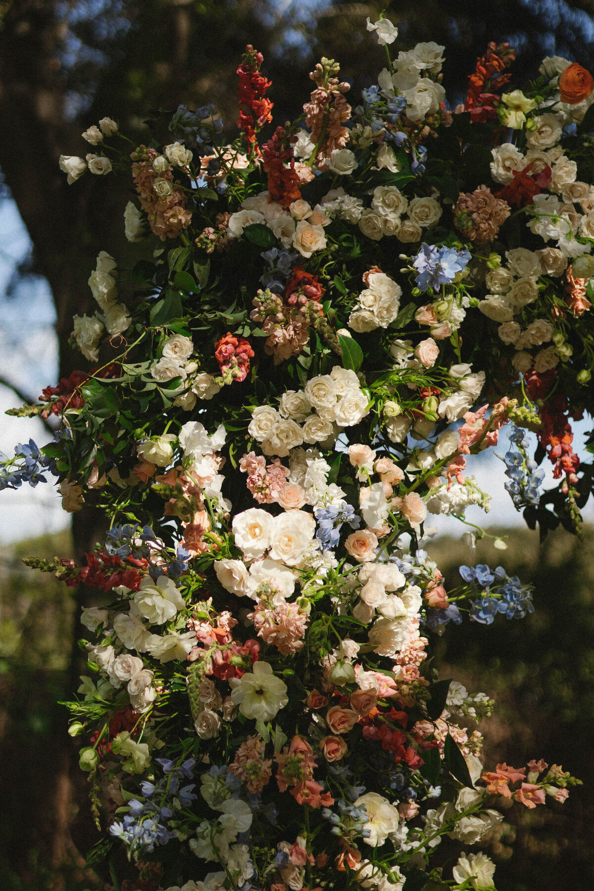 C+D-Wedding-4