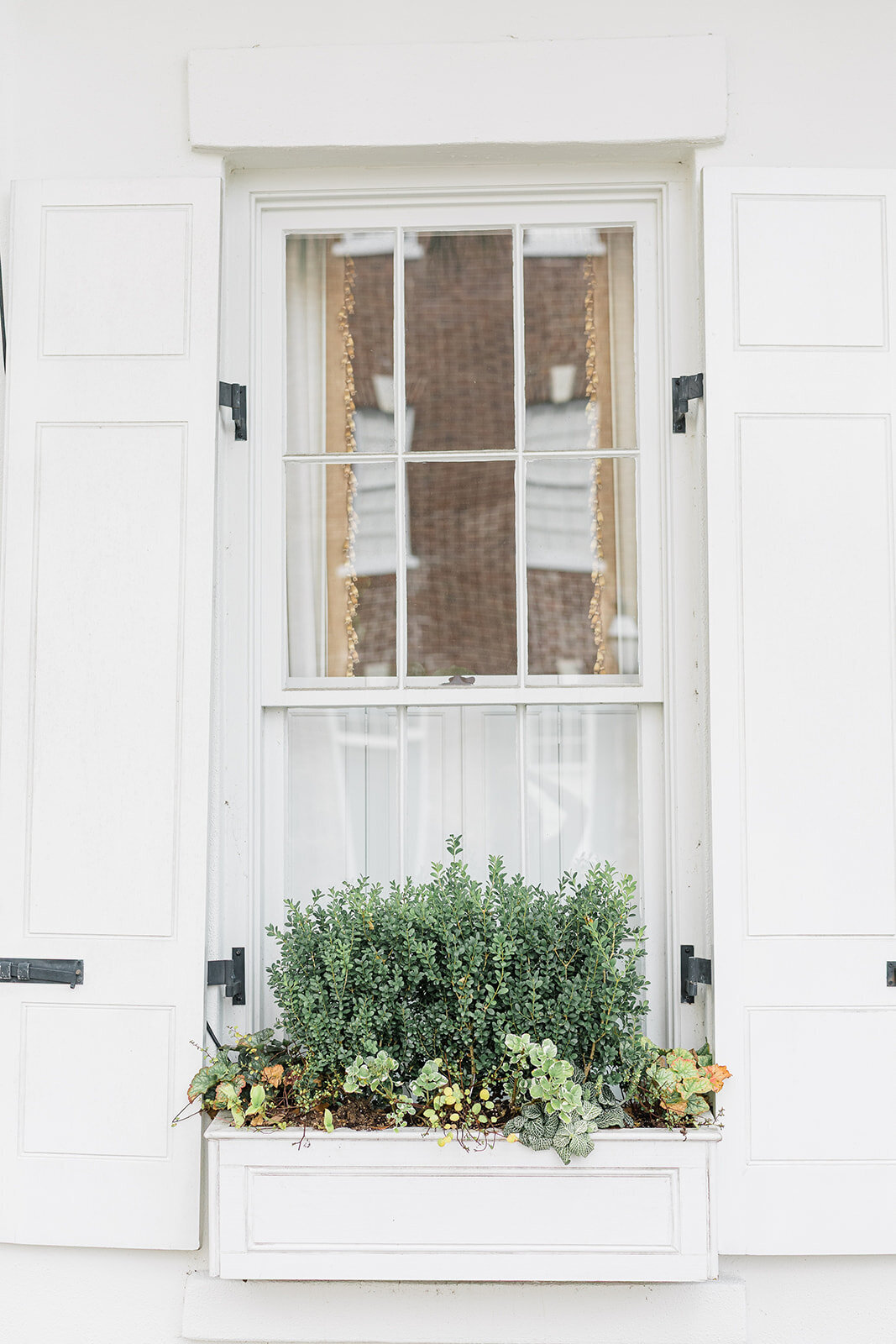 Charleston-5-Makenzie Cioffi Photography LLC_ 2025