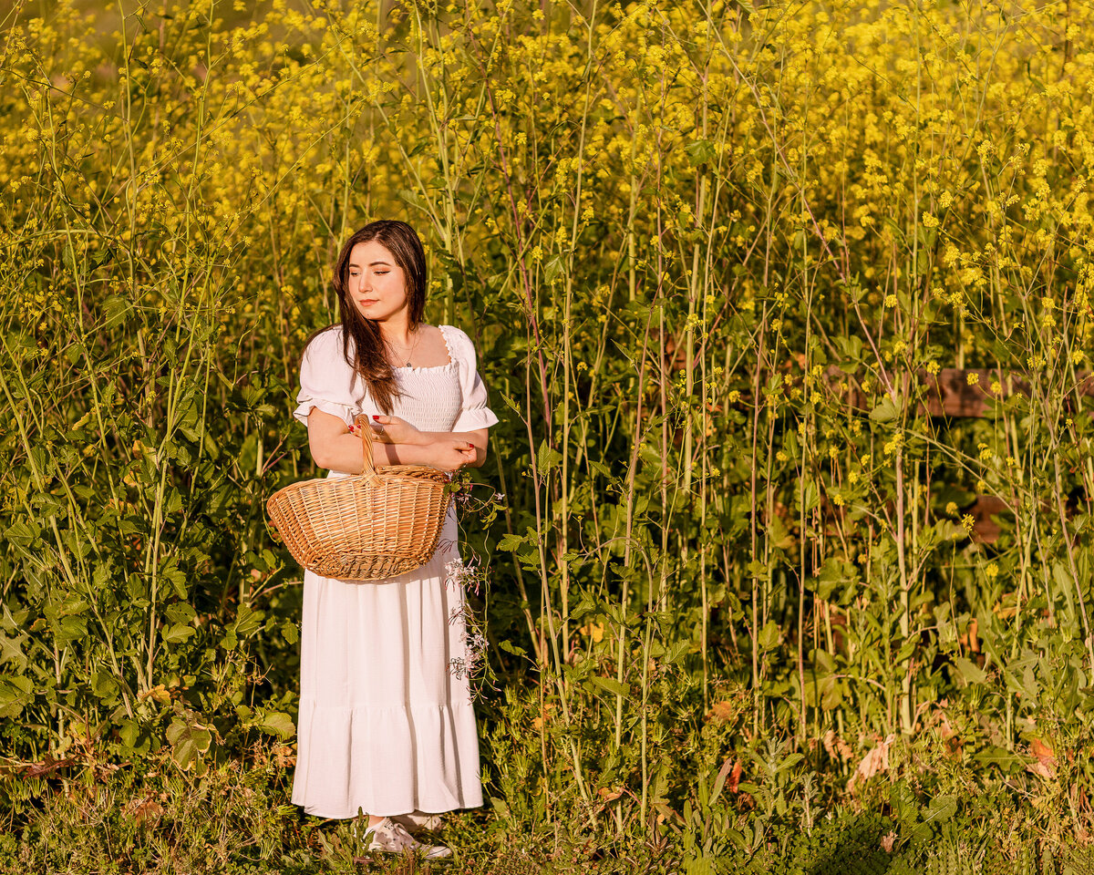 Yellow Flowers Basket Rocksy (5)