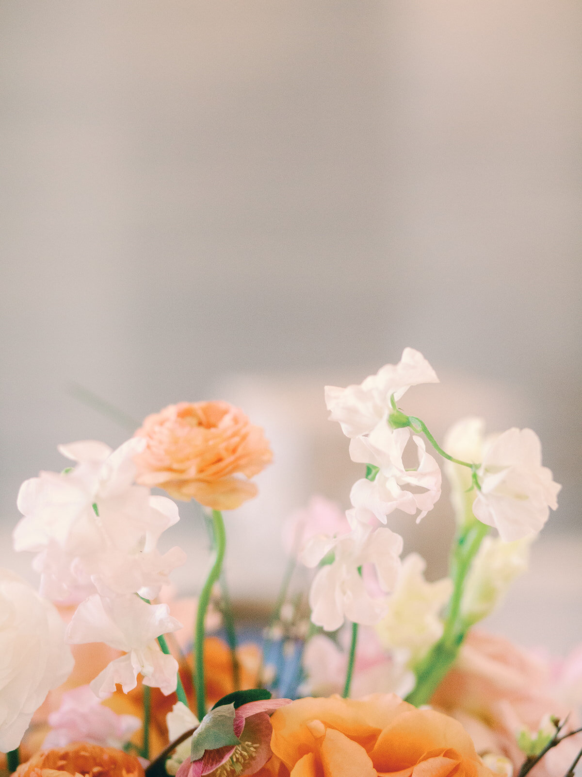 7A83903F-A552-4BF1-84F6-3A53AC14E6B8