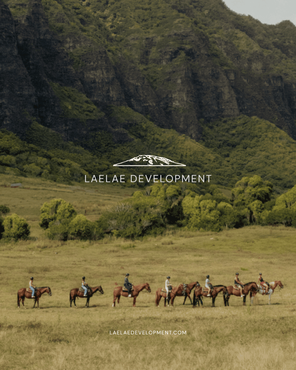 Laelae Development project management firm brand identity designed by Chan