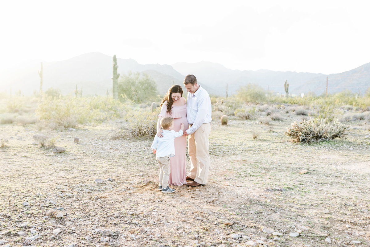Wheeler's-Maternity-Family-Session-Waddell-Arizona-Ashley-Flug-Photography31